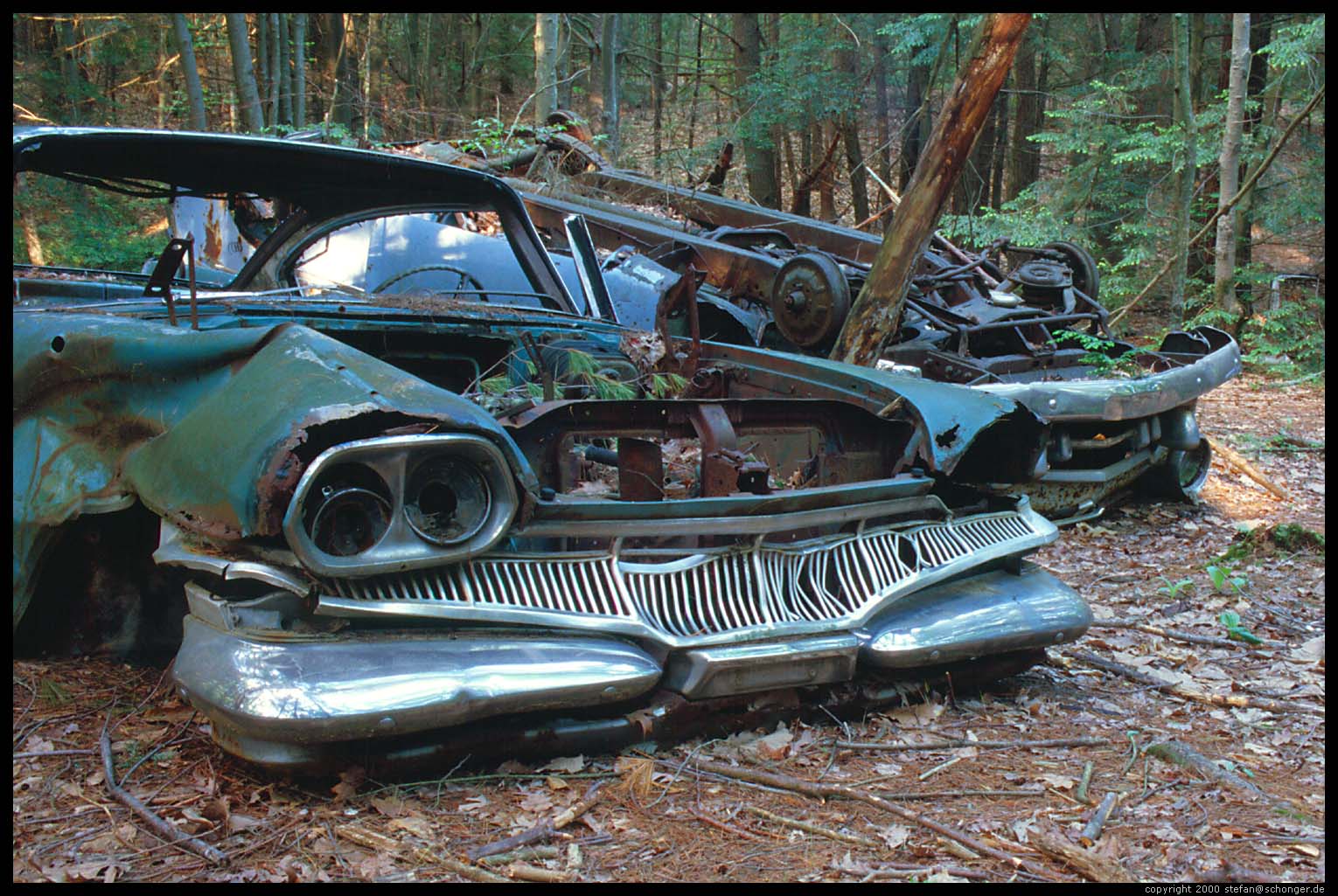 Junk Cars in Forest, Amherst, MA, May 2000